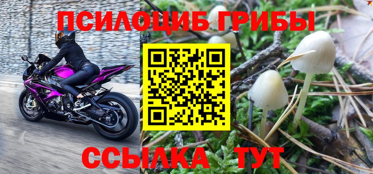 Котельники  Галлюциногенные грибы Magic Shrooms  Вход с VPN 